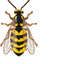 Worker Bee pointer cursor