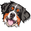 Bernese Mountain Dog pointer cursor