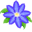 Cute Cursor Collection pointer cursor