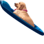 Fluffy Dog pointer cursor