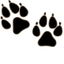Boston Terrier default cursor
