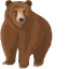 Brown Bear default cursor