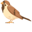 Sparrow pointer cursor