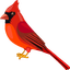 Cardinal pointer cursor
