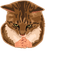 Handy Cat Meme pointer cursor