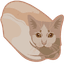 Catloaf pointer cursor