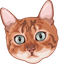 Pounce Cat default cursor