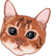 Pounce Cat pointer cursor