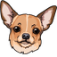 Chihuahua Pup pointer cursor