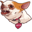Chihuahua Lily LU Series default cursor