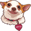 Chihuahua Lily LU Series pointer cursor