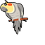 Cockatiel pointer cursor