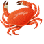 Crab default cursor