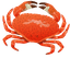 Crab pointer cursor