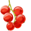 Cranberry Cute Cursor Pack pointer cursor