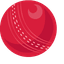 Cricket pointer cursor
