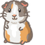 Guinea Pig default cursor