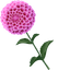 Pink Dahlia Cute Cursor Pack default cursor