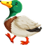 Quacky Duck default cursor