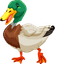 Quacky Duck pointer cursor