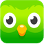 Duolingo pointer cursor