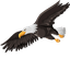 American Eagle pointer cursor