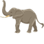 Elephant default cursor