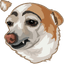 Chihuahua default cursor