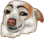 Chihuahua pointer cursor