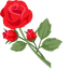Florist Rose pointer cursor