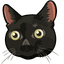 Black Cat Cuddly pointer cursor
