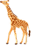 Giraffe default cursor