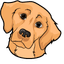 Golden Retriever default cursor
