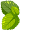 Cute Cursor Mint Pack default cursor
