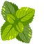 Cute Cursor Mint Pack pointer cursor