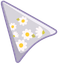 Grey White Chamomile default cursor