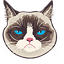 Grumpy Cat pointer cursor