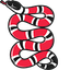 Kingsnake Trend pointer cursor