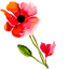 Custom Cursor Pack - Poppy Delight pointer cursor