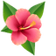 Custom Cursor Pack - Hawaiian Hibiscus default cursor