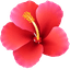 Custom Cursor Pack - Hawaiian Hibiscus pointer cursor
