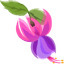 Hummingbird pointer cursor