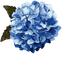 Custom Cursor Hortensia Pack default cursor