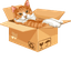 Popular Cat Meme default cursor