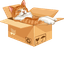 Popular Cat Meme pointer cursor