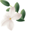Custom Cursor Pack - Jasmine Inspiration default cursor