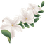 Custom Cursor Pack - Jasmine Inspiration pointer cursor