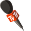Journalist Mic default cursor