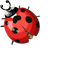 Ladybug default cursor