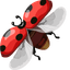 Ladybug pointer cursor